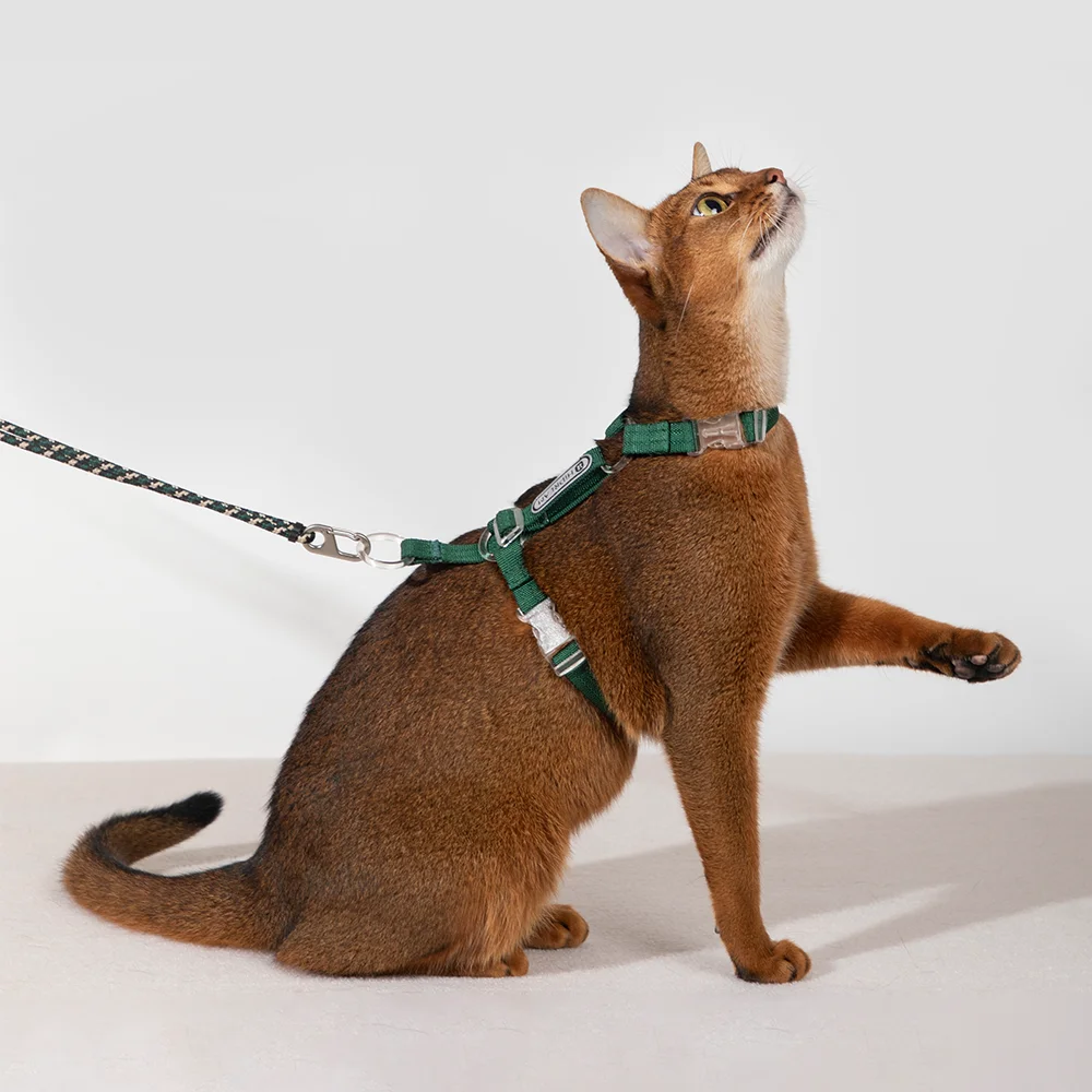 Cat Multifunctional Harnesses Suspenders Set Comfortable Reflective I-font Structure Anti-Break Adjustable Cat Leash