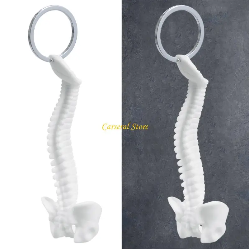 M4YF مصغرة في سلسلة مفاتيح الهيكل العظمي للعمود الفقري البشري لتدريس المساعدات التشريحية الزخرفية النموذج التشريحي مفتاح السيارة