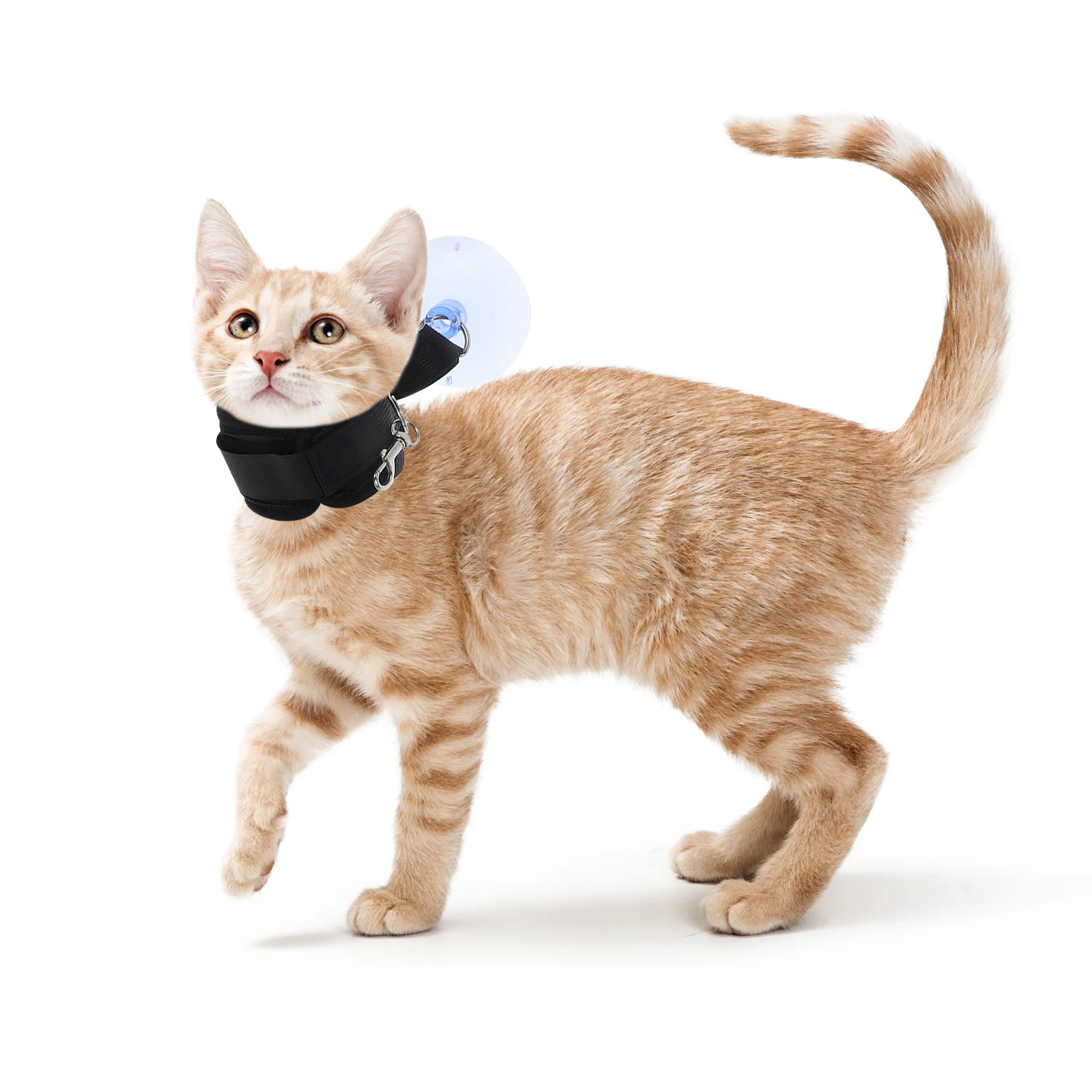 

Adjustable Dog Grooming Bath Leash Holder Suction Cup for Cats Dogs Nail Trimming Secure Slip Resistant Pet Bath Tool