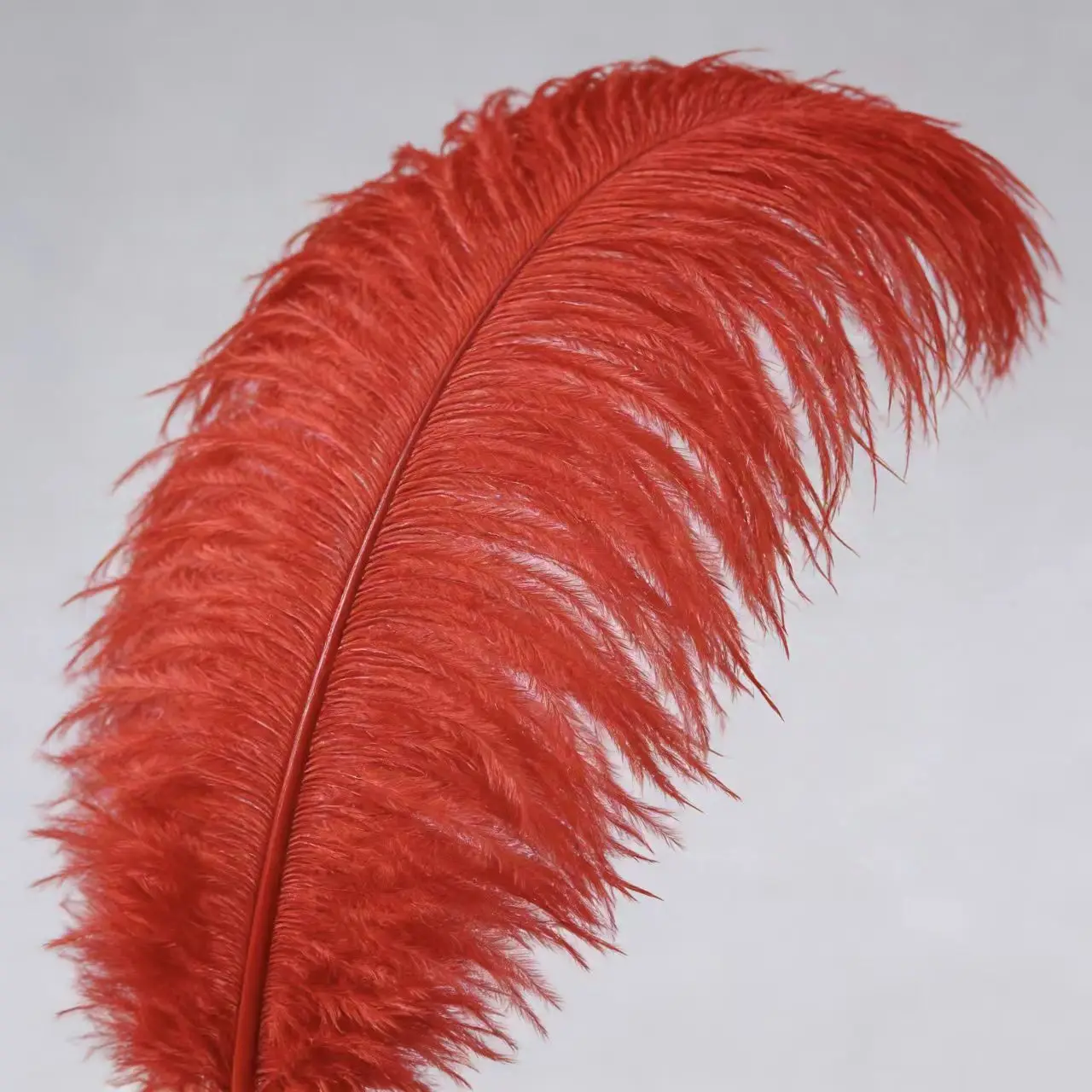 

100pcs Colorful Ostrich Feathers Wholesale Wedding Decoration DIY Craft Table Centerpieces Carnival Accessories Party Plume
