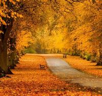 Monitor Laptop Wood Stand Multiple Styles 3 Drawers Computer Support Monitor Riser Holder Desktop Shelf Bedroom Table Shelf