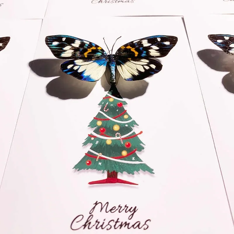 

2085 Original Design Handmade Moth Specimen Decorative Painting Birthday Christmas Gift Insect Display Frame Room Decorations