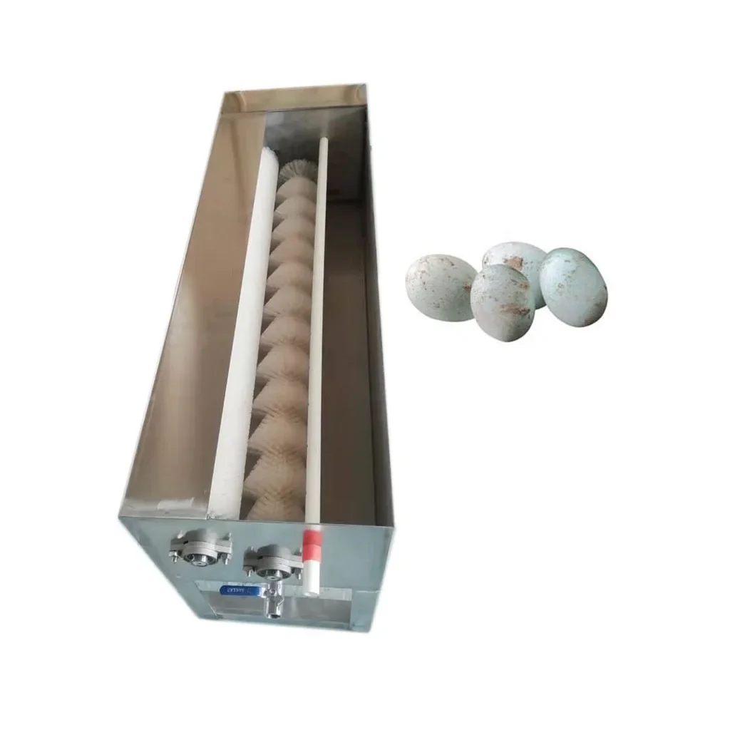 

Automatic 304 stainless steel Chicken Egg Washing Machine Will Not Hurt Eggs HJ-CM033B