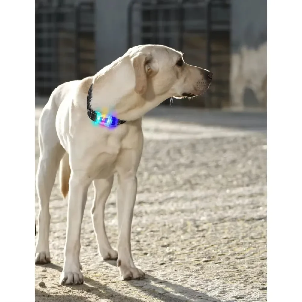 Adjustable LED Anti-Lost Dog Collar USB Rechargeable Waterproof Night Glow Pet Light Collar Universal All Size