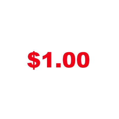 

$1.00 One Dollar For Fast Payment (ONLY VALID BEFORE CONTACTING US)