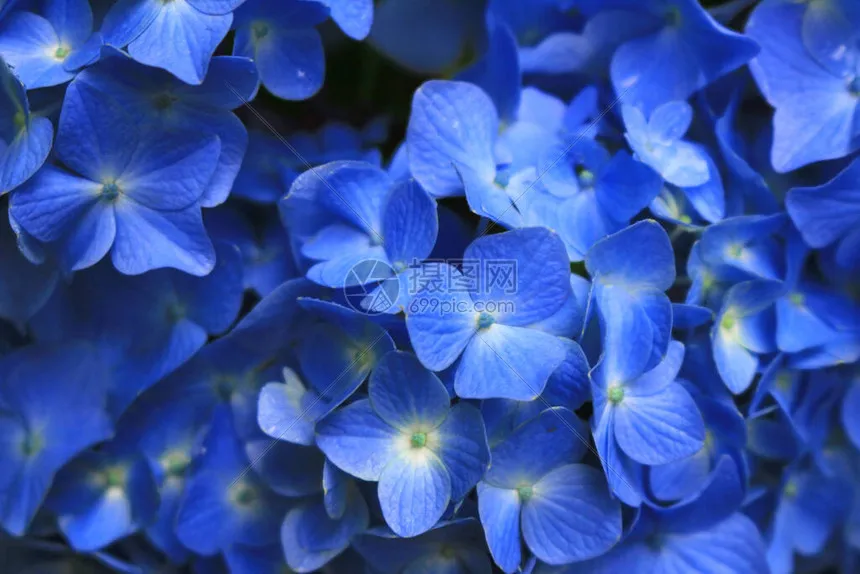 

RC car Metal upgrade, front and rear axle assembly, drive shaft set Fit for MN 1/12 tank 300 MN82 MN78 RC car accessories