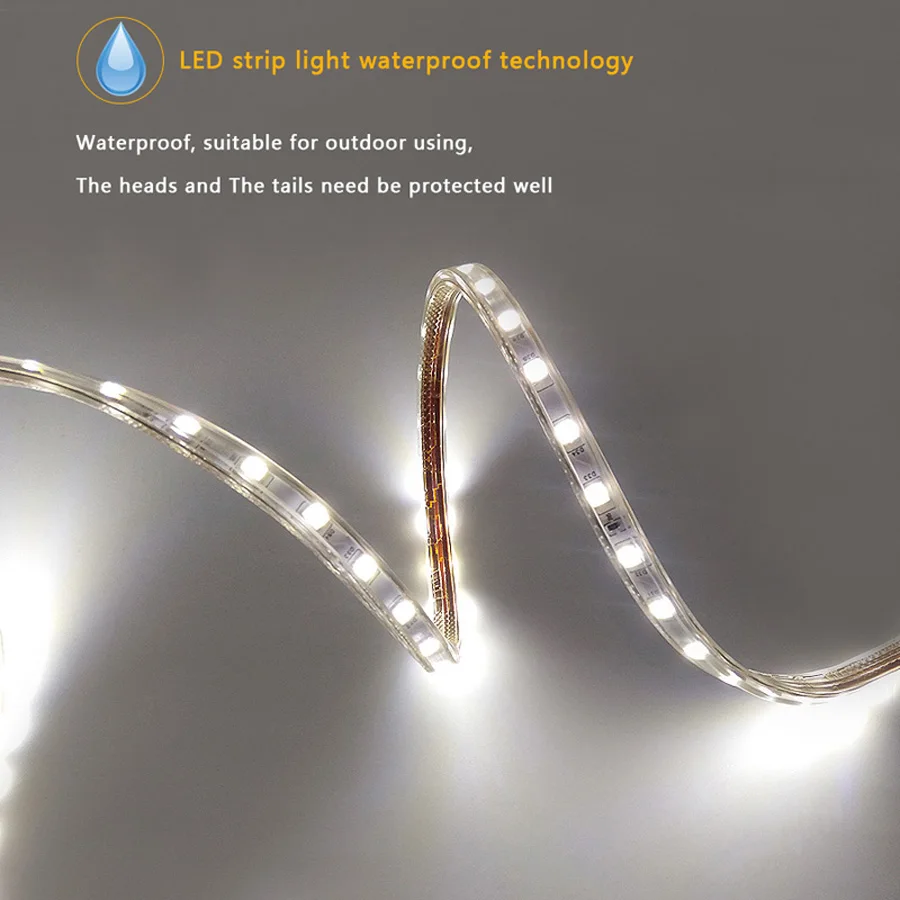 AC220V Waterproof LED Strip Lights IP67 High Brightness 60LEDs/M LED Tape For Home Room Kitchen Decoration Lighting with EU Plug