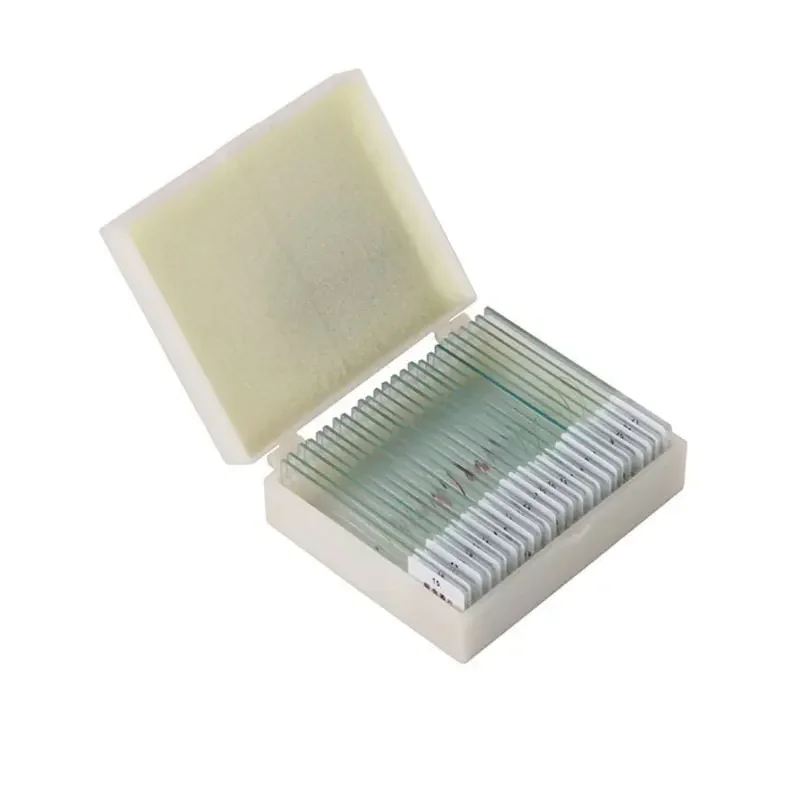 

25pcs Professional Glass Prepared Microscope Slides for Kids School Laboratory Education Tools