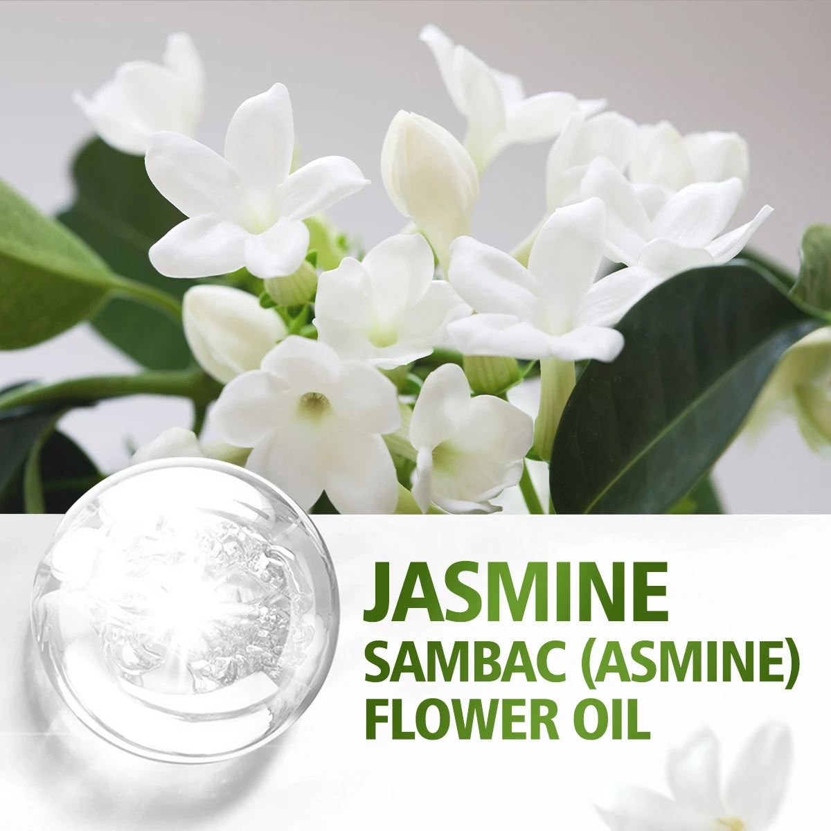 100ml/60ml/30ml Jasmin Ätherisches Öl Aromatherapie Multifunktionales Ätherisches Öl für Verschiedene Anwendungen Reich an Aromen Feuchtigkeitsspendend – Detail 3