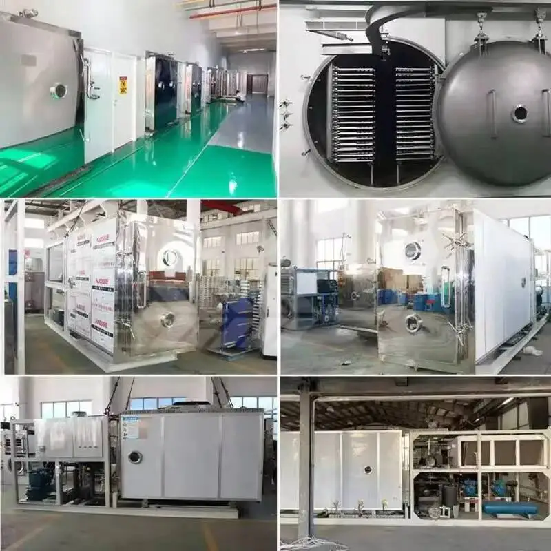 Freeze Drying Machine Cordyceps, Fruits And Vegetables, Commercial Intelligent In-situ Vacuum Freeze Drying Machine