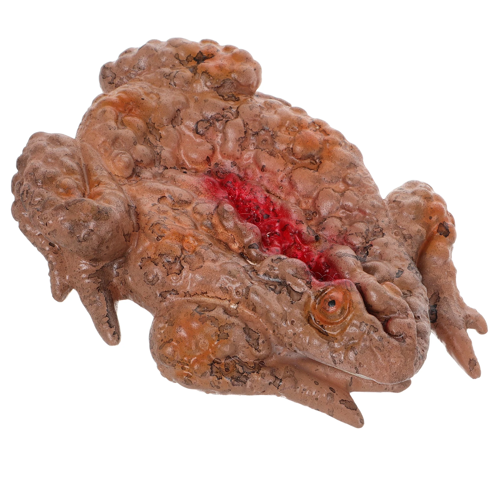 

Delicate Big Spider Horror Meal Box Creepy Prank Decoration for Halloween Festive Atmosphere Haunted House Theatrics Scary Prop