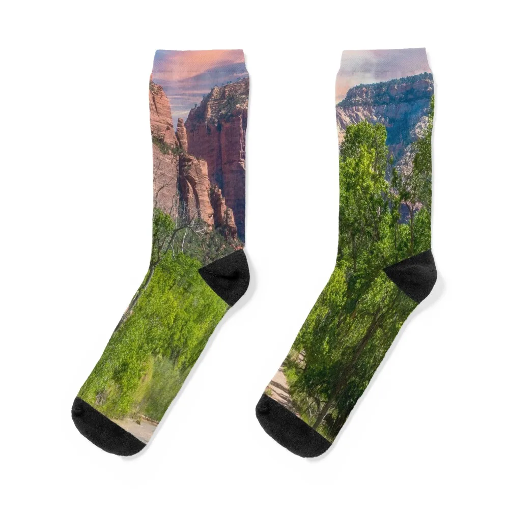 

Zion National Park - Utah Socks anti slip football christmas stocking with print warm winter Men's Socks Women's