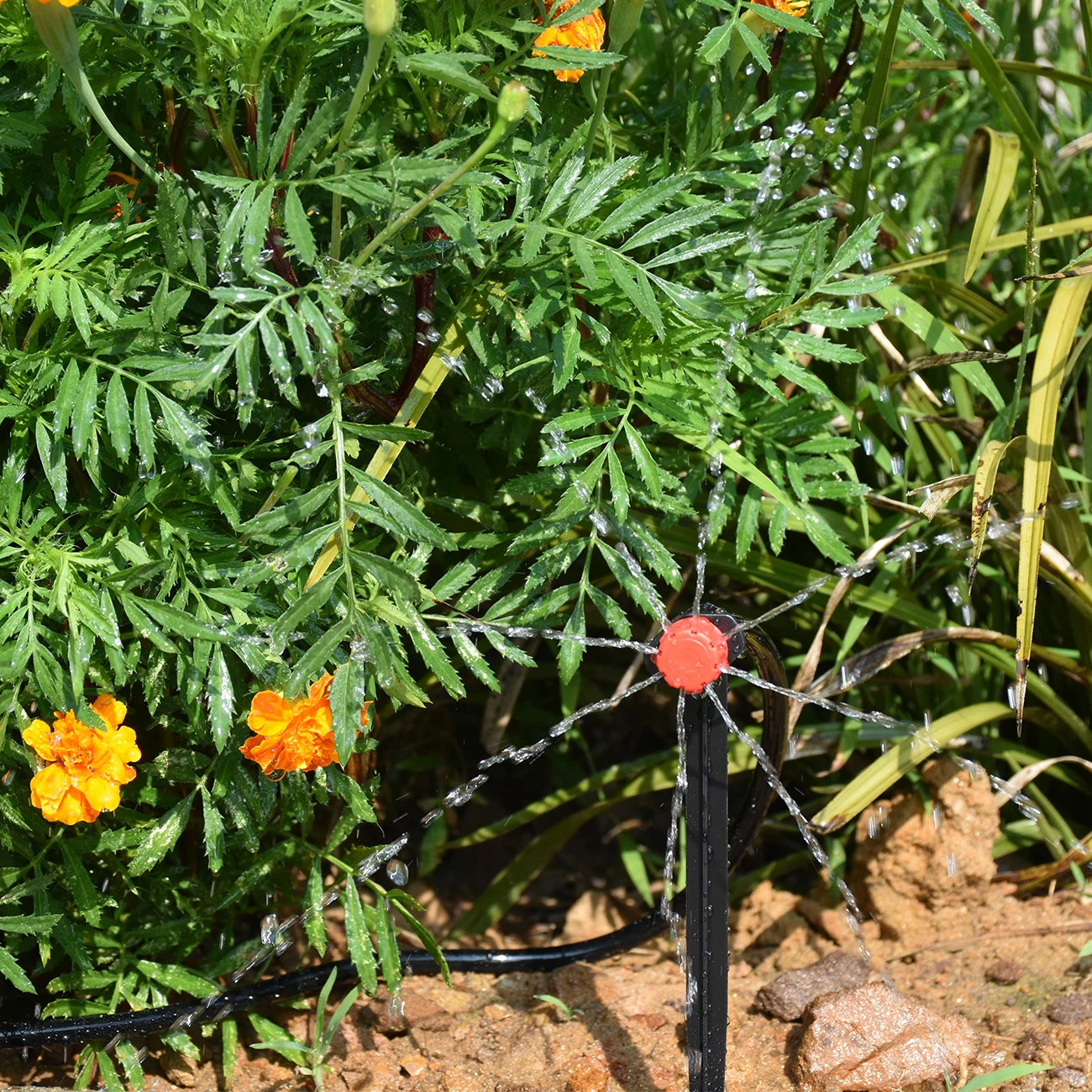 KESLA 5-50 м умная садовая сис – обзор и цена Smart Garden Refill