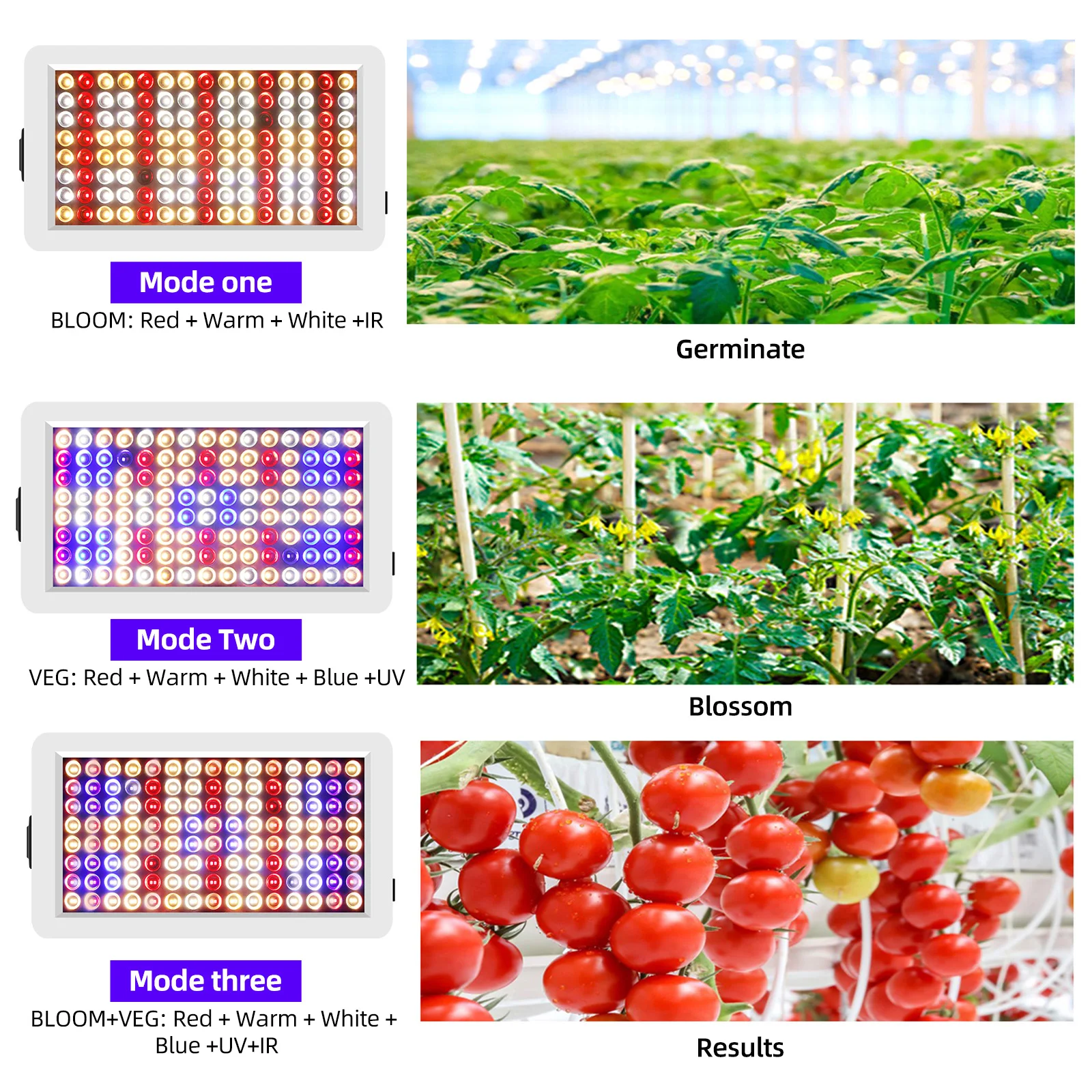 LED-Wachstumslichter für Zimmerpflanzen, Vollspektrum, Veg Bloom, 3 Modi, 8 Stunden/12 Stunden/16 Stunden, Timer, Fernbedienung, Pflanzenlicht,