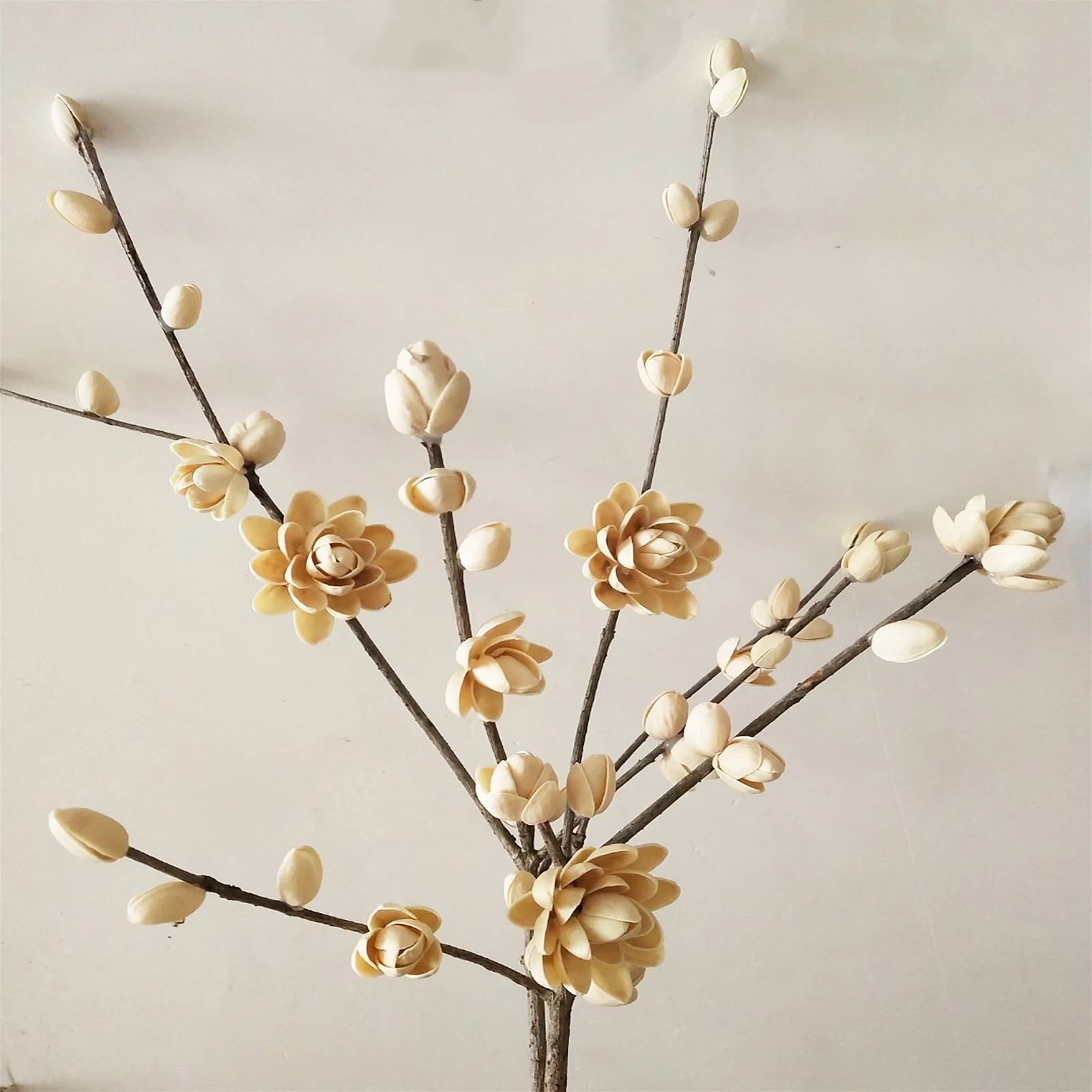 

Handmade Materials Pistachio Shells Durable Non Fading DIY Accessory Arts Crafts Supplies Kids Set Jewelry Making Kits