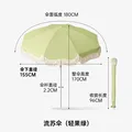 umbrella  green