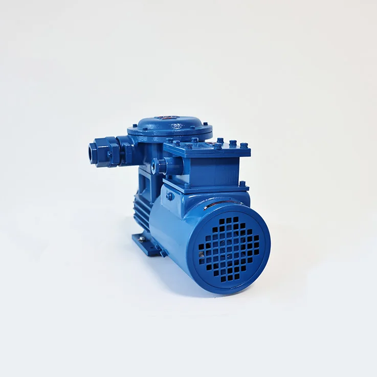 مضخة تروس مغناطيسية من الفولاذ المقاوم للصدأ بدرجة الطعام، منتج عالي الجودة غير قابل للتفكيك وغير قابل للتنظيف