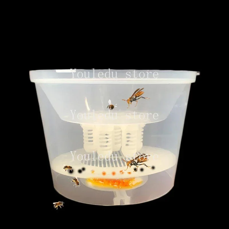 Bee Tools Hornet Trapper Fly Bug Catching Traps Wasp Catcher Hanging on Tree Insectary Box Bees and Beekeeping Equipment