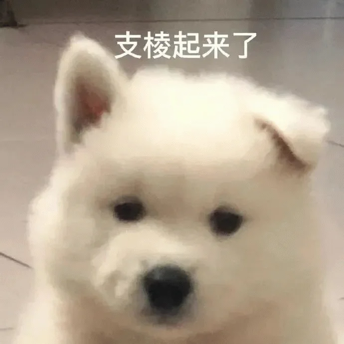 b5EJ5fvtcSwkiT4xkEp9fvzQSQezmFUO98EDl3f9UgQhU1qNqvN0Az1if4pVmA6Uk3Emb33xb5IyT64fvUPz1XLq8Hges