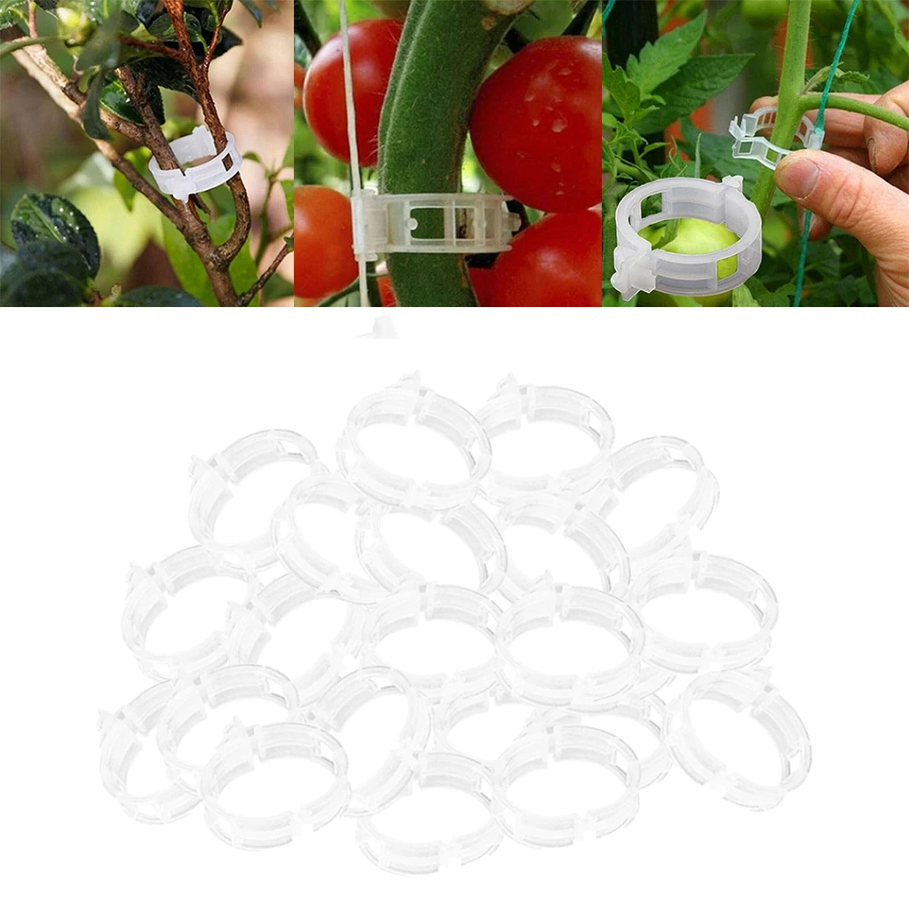 Lot de 200 clips de support pour plantes de jardin, pour connecter des vignes de tomate, du poivre, du concombre