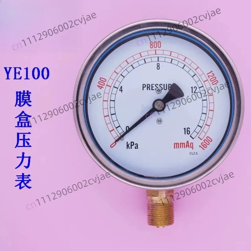YE100 16KPA M20 * 1.5 Natural Gas Meter