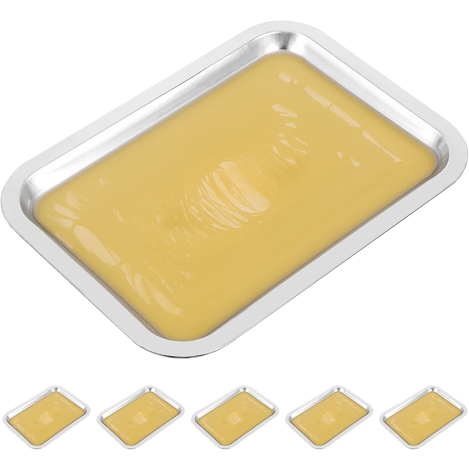 

6pcs Wax Dissection Tray Dissecting Tray Biological Laboratory Equipment Metal Dissecting Tray Metal Dissection Tray