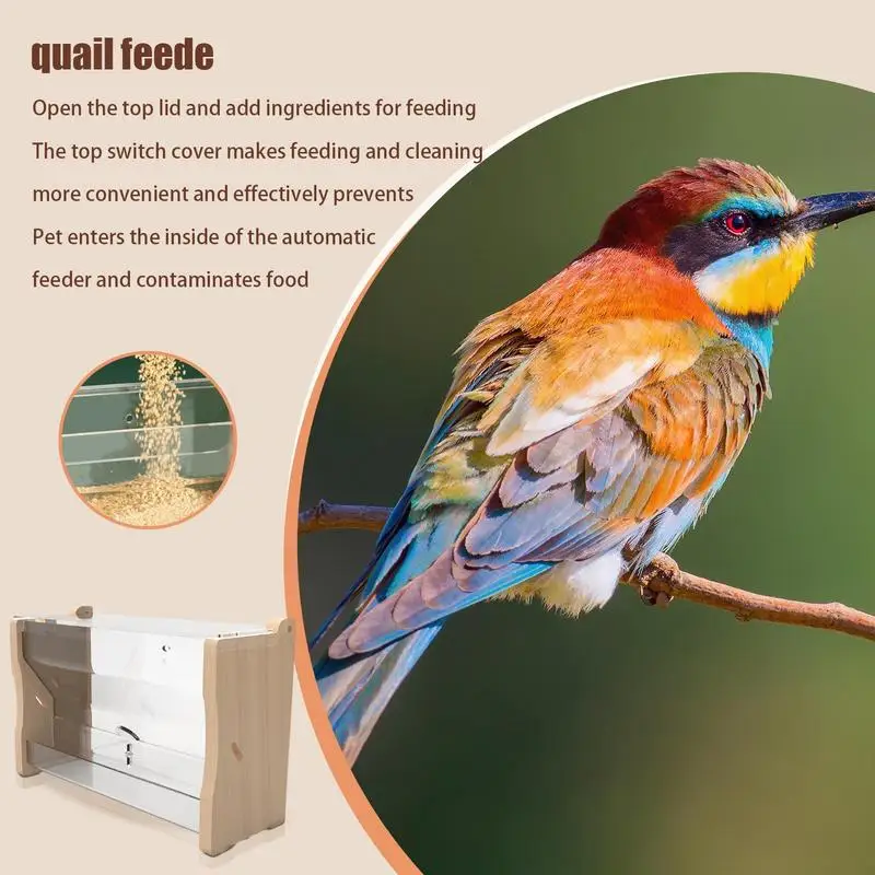 Chicken Feeder Automatic Bird Quail Water Feeding Cup Birds Water Feeders Dispenser Cage Accessories For Quails Chickens Parrots