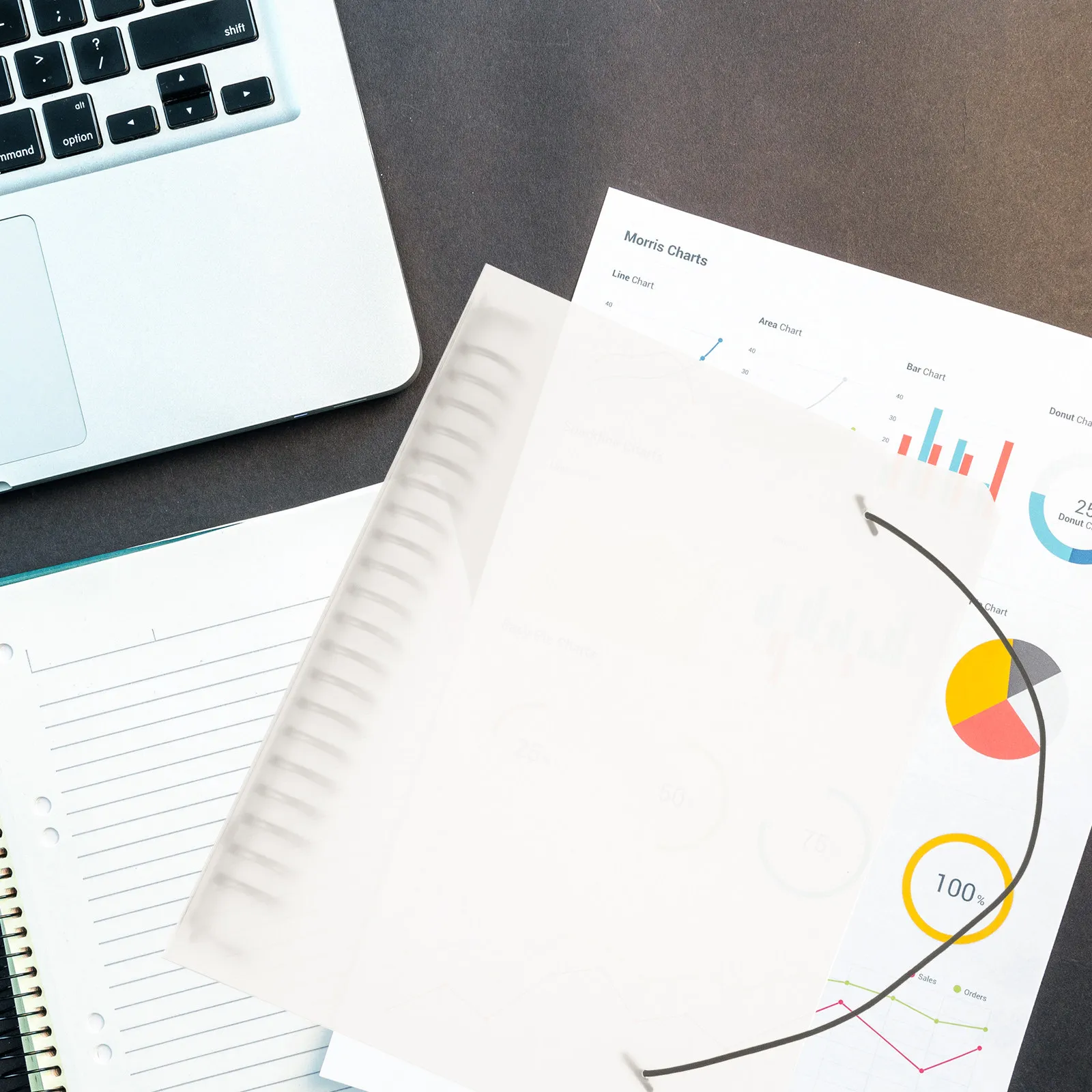 

Обложка для блокнота на кольцах, прозрачная, многоразовая, для ежедневника, органайзера, планировщика, с ремешком