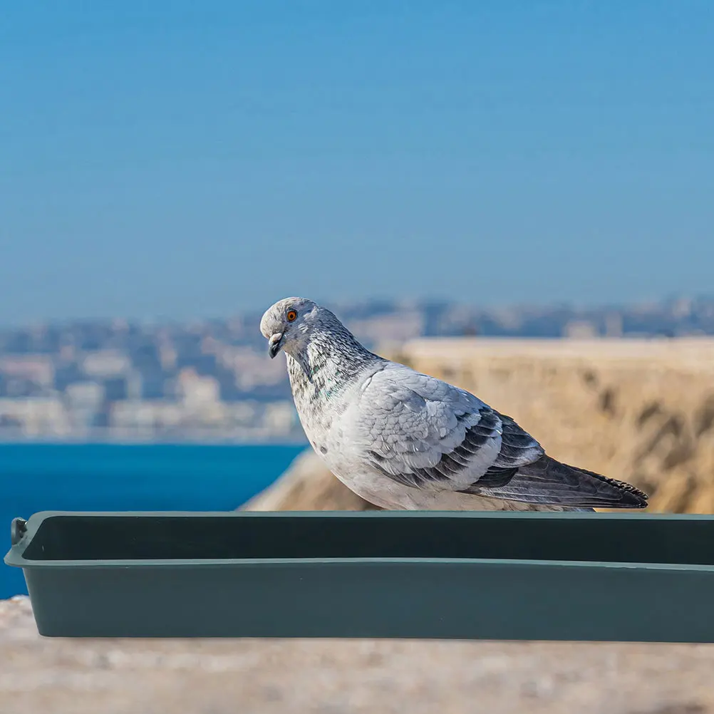 

2pcs Anti-spill Trough Chicken Coop Feeder Large Bird Hanging Poultry Plastic Tank Chickens Duck Pigeon Parrot Fodder Pot