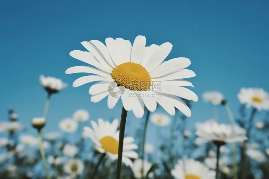 

GEPRC Fettec G4 Alpha GF50A FPV Stack G473 FC 4-в-1 ESC FETTEC S2M Dshot2400 для RC FPV Freestyle Drone Quadcopter