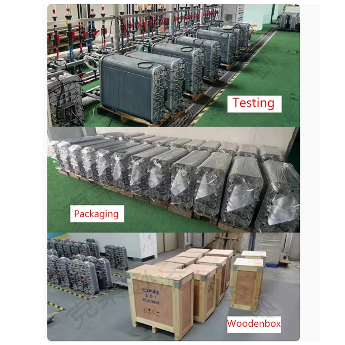 Hot Sale 500LPH-7000LPH Electrodialysis Ultra Pure Water EDI Electrodeionization Water Purification Plant EDI Modules