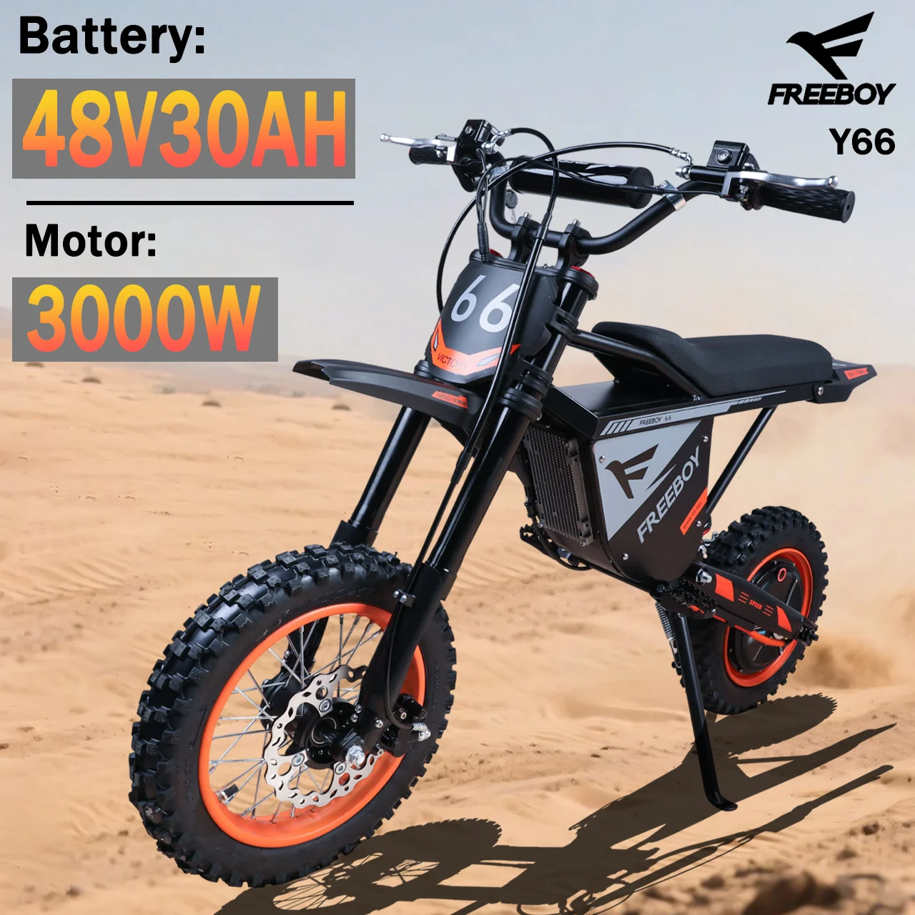 FREEBOY Electric Bike Y66 3000W Motor 48V30AH Battery Off-Road Electric Motorcycle 12/10 Inch Fat Tire All-Terrain E-Motorcycle