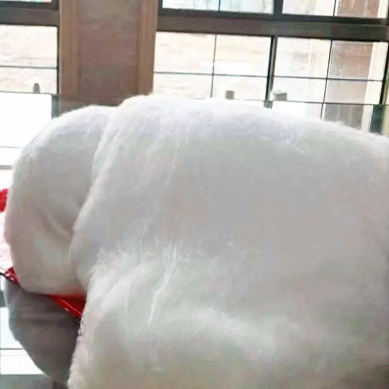 Рисунок 3 - Сырье из шелкового шелка шелковицы