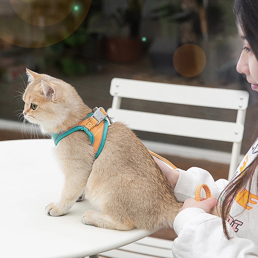 Thumbnail 3 - #32 Pet Harnesses Discount Picks