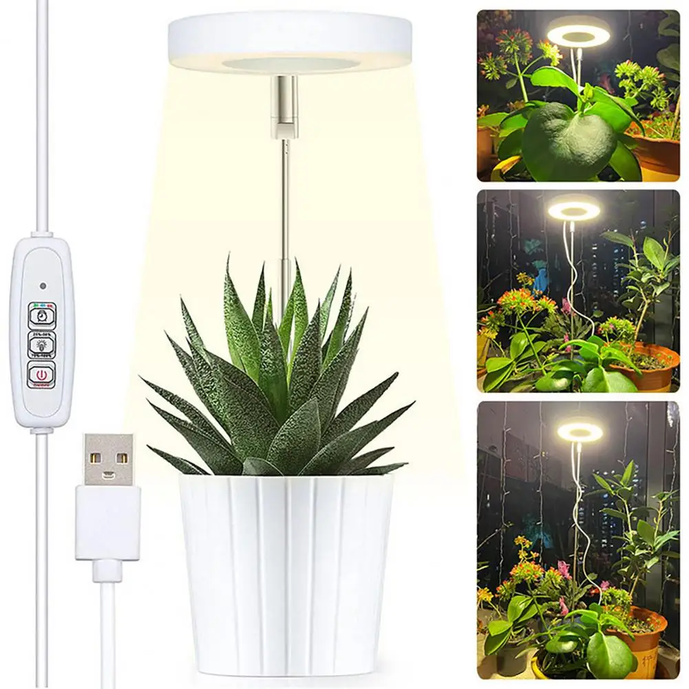 Luce per piante a risparmio energetico Luci progressive a spettro completo efficienti per piante bonsai a fiori Ampia gamma di illuminazione Colore USB verso l'alto