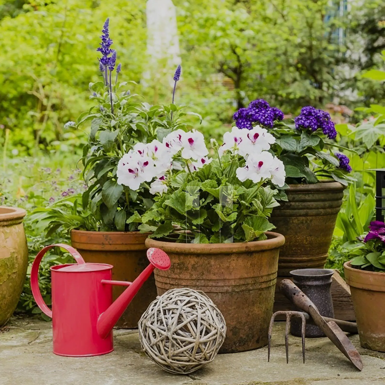 

24Pcs Weather-Resistant Acrylic Plant Stakes Easy Install Herb Vegetable Flower Pot Labels Plant Signs for Garden