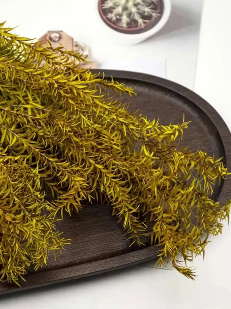 Kits de modèles d'herbe à roseaux à longues feuilles, 6 g/boîte, pour bricolage, matériaux de scène de paysage militaire, accessoires de Diorama