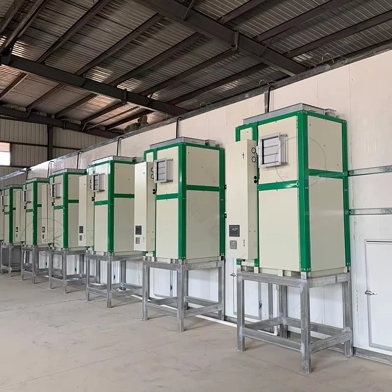 Customized Flotation Sorting Area Peeling Area Macadamia Nut Primary Processing Production Line  Nut Rinsing Shelling Machine