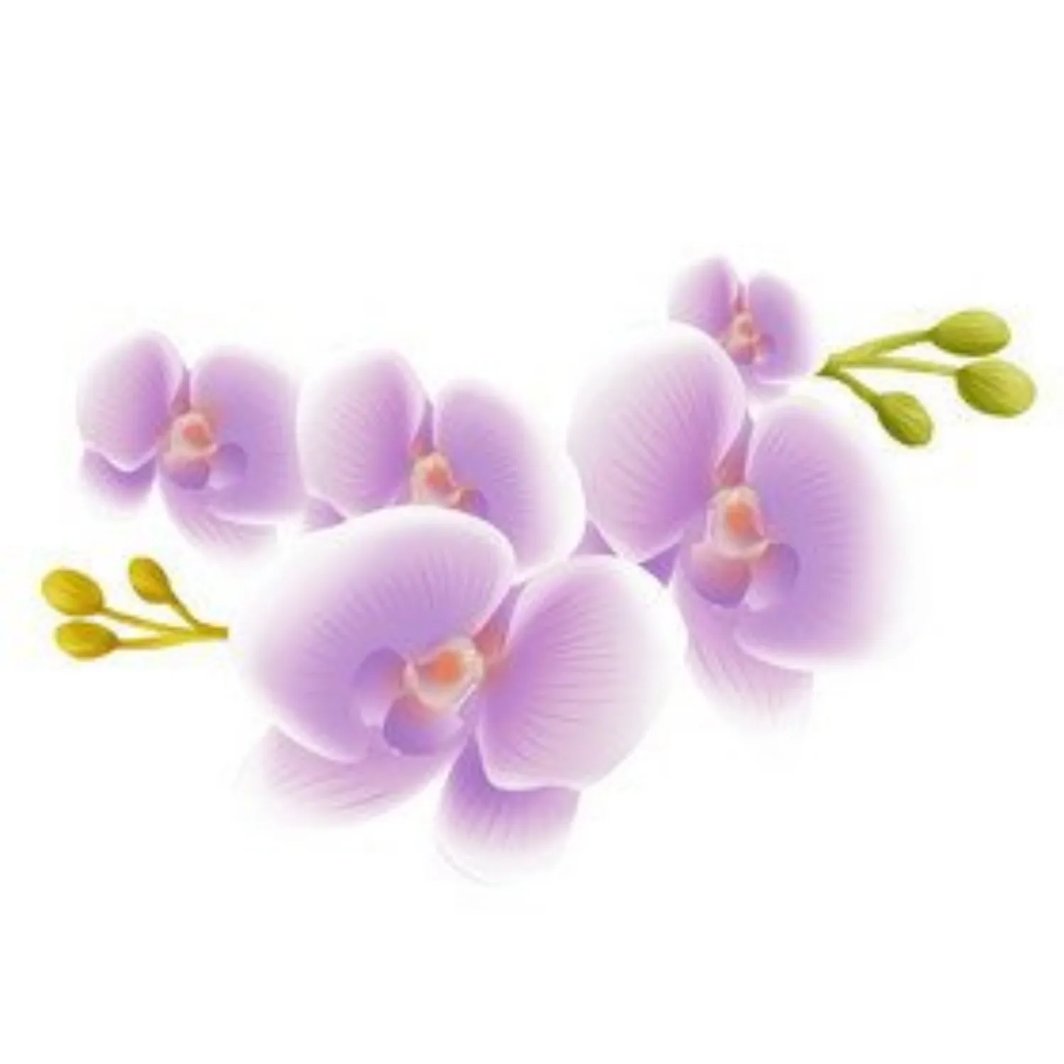 300391-Romantic Floral Hand Paint By Numbers Home Decoration Art