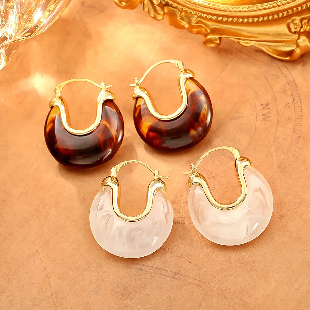 Retro Maillard Amber Earrings Fashionable Exquisite Personality Earrings Elegant Simple Generous Earrings for Women