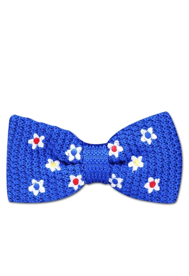 Pajarita de malla azul,