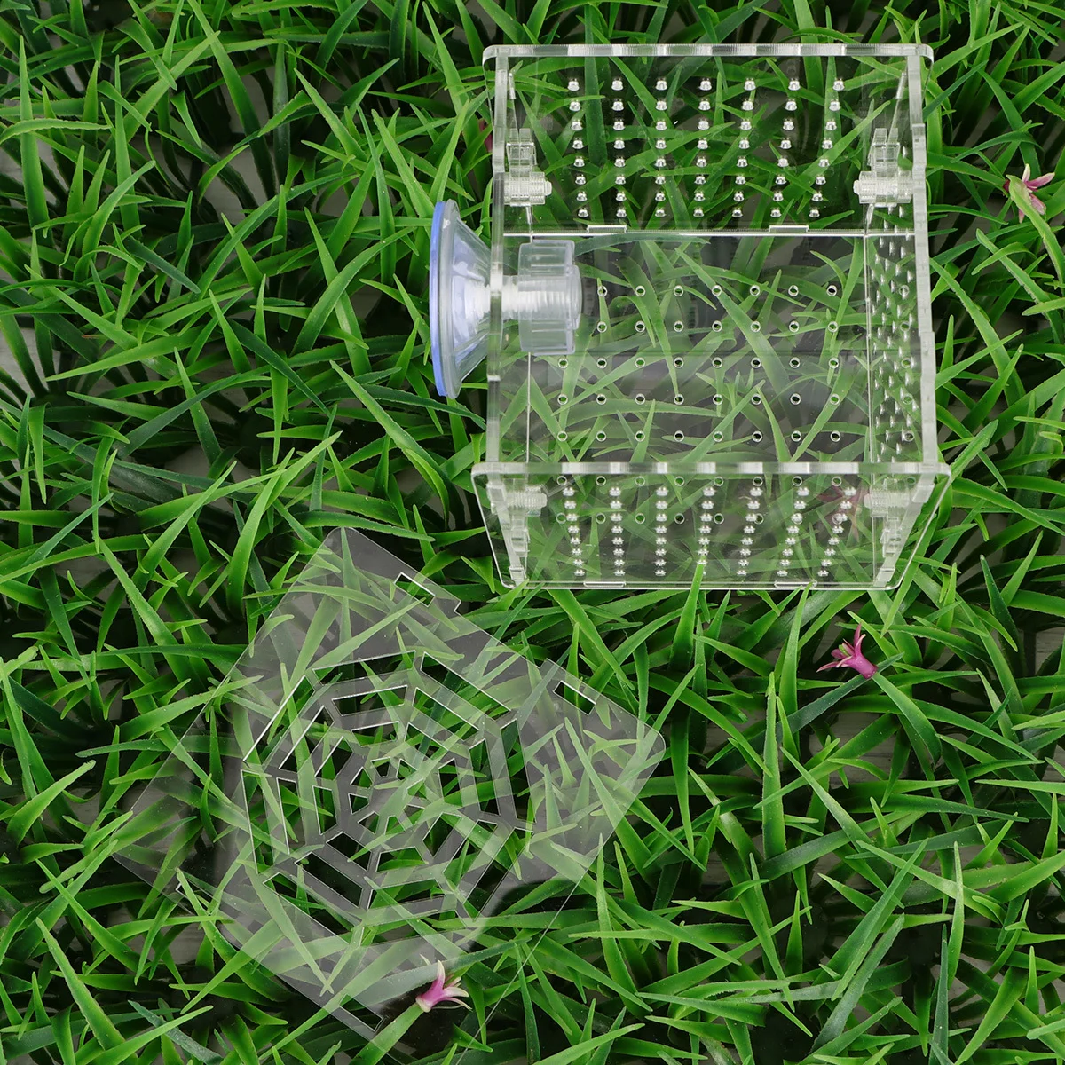 

Box 10X10X10Cm Transparent Acrylic Isolated For Protection Suction Cup Adjustable Height Round Holes For Fish Isolated