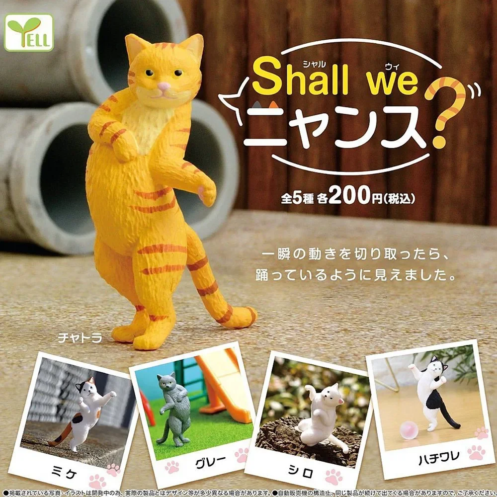 Gashapon Toy Shall We Dance Cat Capsule Doll Cute Kitten Model Figures Collectible Table Ornament Gifts