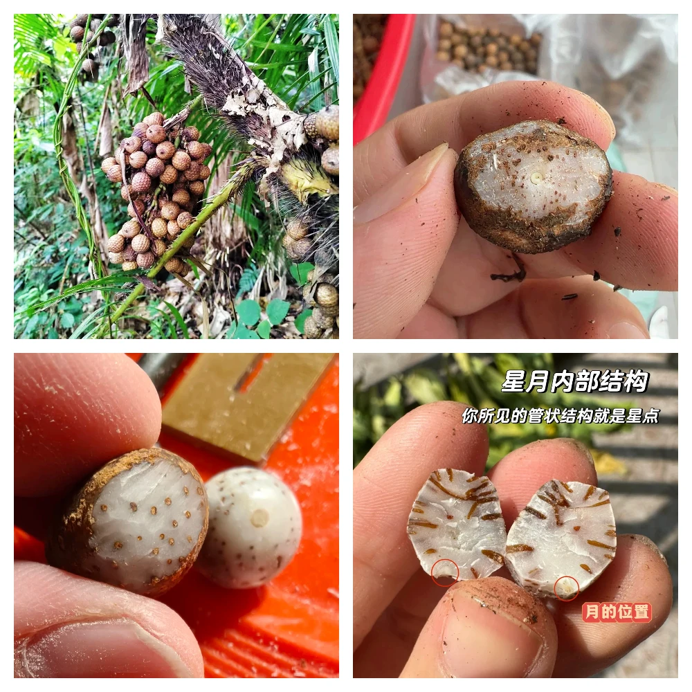 ستار مون بودي، 114 خرزة صلاة، قلادة من خرز الصلاة، صنع سوار DIY. مناسبة لكل من الرجال والنساء. إنها نبات الصلاة