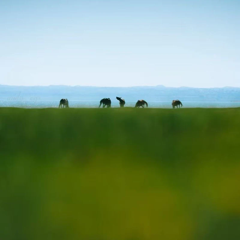 

Специальная ссылка для съемки индивидуального продукта AWX