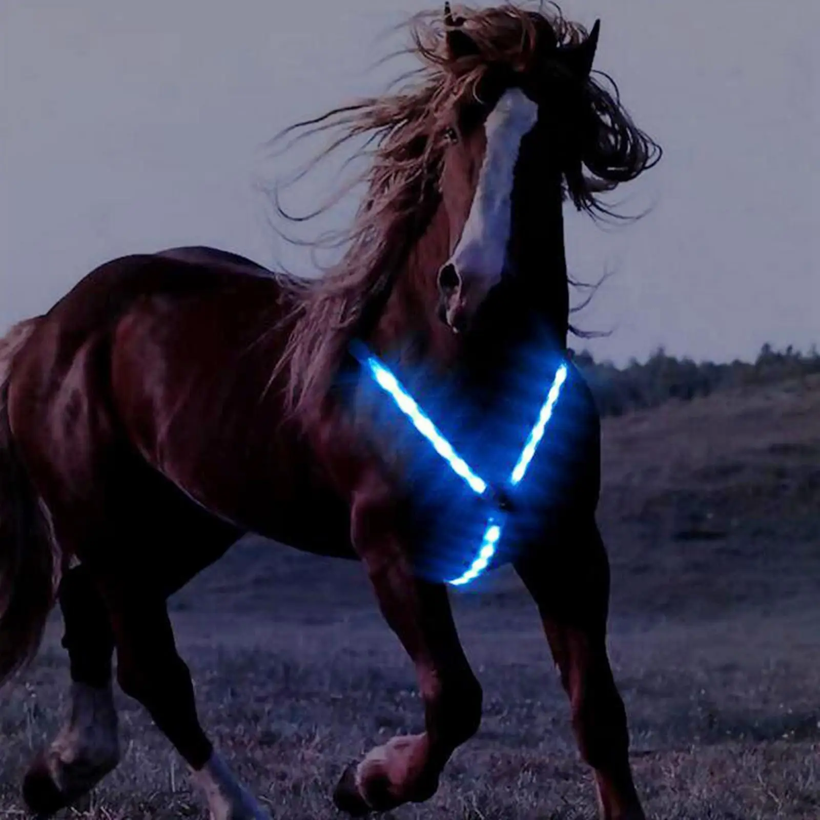 Adjustable Horse Breastplate Collar with LED Lights for Night Riding Safety Gear Sturdy Chest Harness with Quick Release Buckle