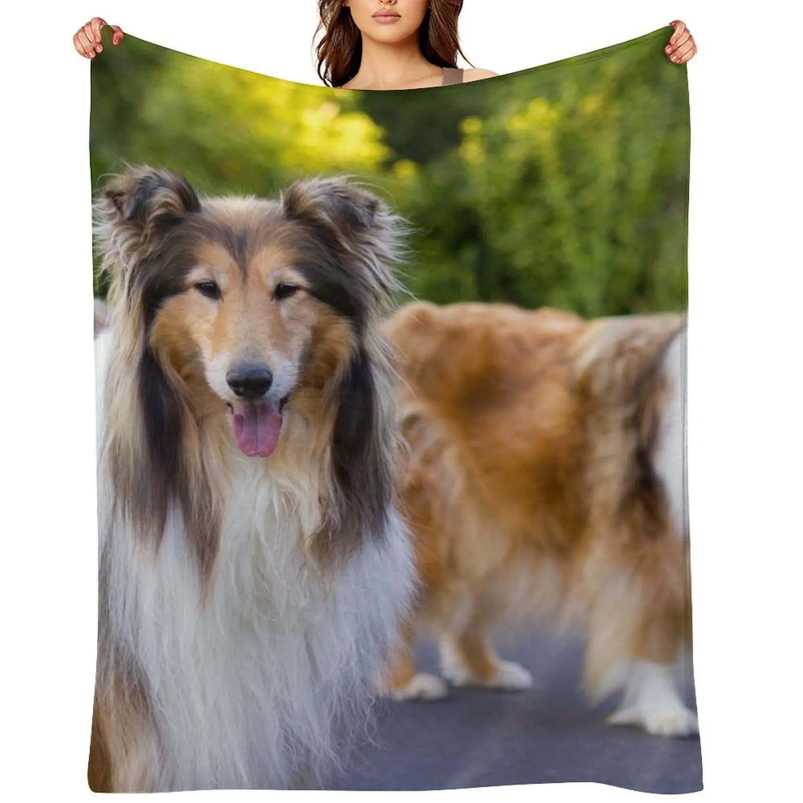 

Diamond And Gold Collies Throw Blanket Thermal For Baby Camping Extra Large Throw Blankets