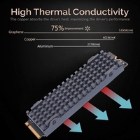 Copper Graphene Cooler M.2 NGFF SSD Solid State Hard Drive Heat Sink 2280 for HDD Dedicated M.2 PCI-E NVME Radiator