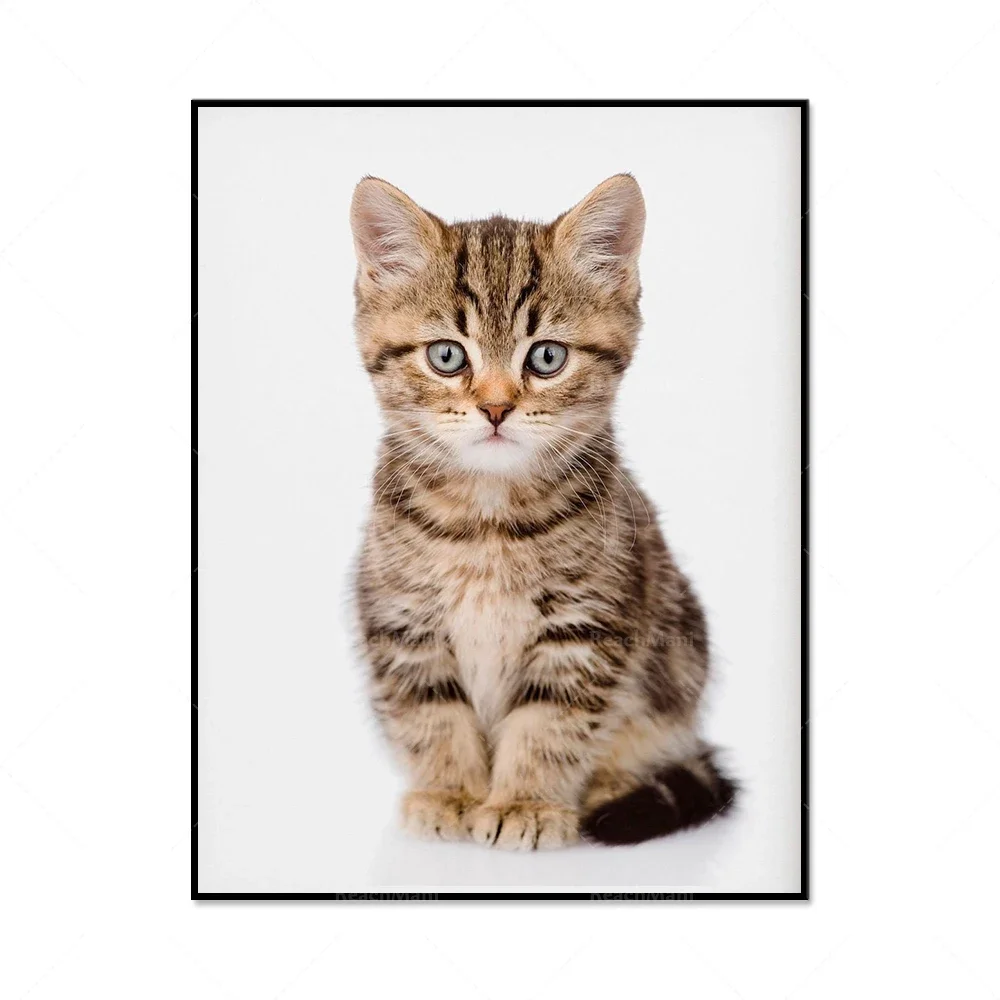 Tiger, Fox, Alpaca, Monkey, Giraffe, Cat Safari Kids Room Wall Art Canvas Painting Poster