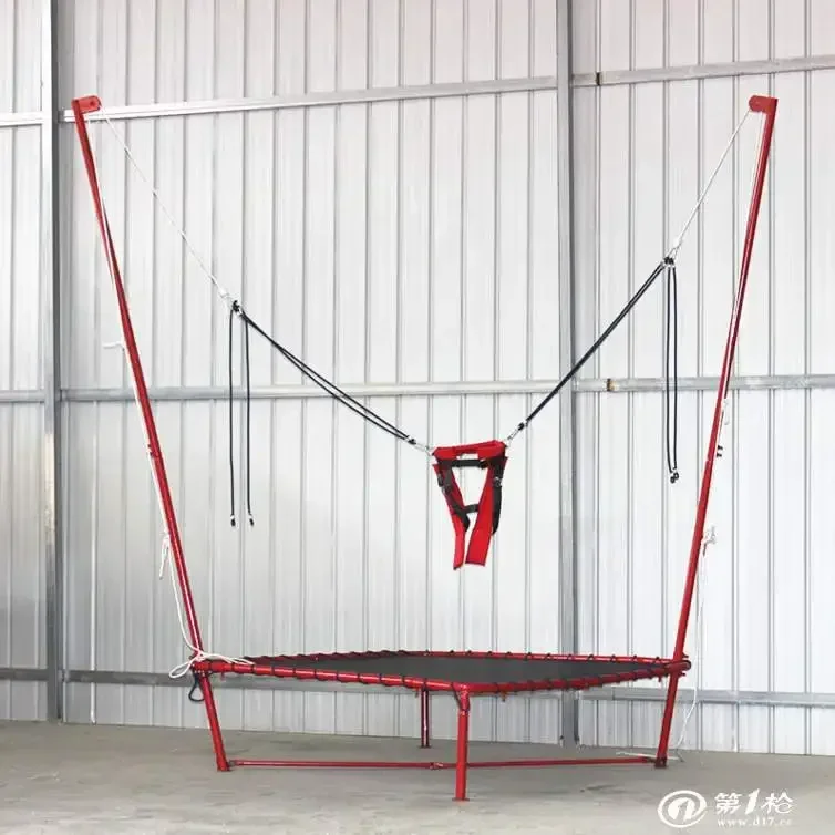 Il parco divertimenti a prezzo economico guida il trampolino bungee per l\'attrazione del fiera Manege in vendita